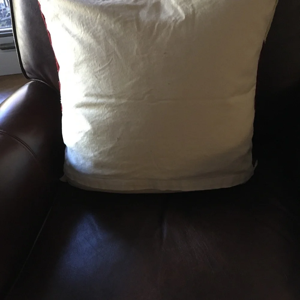 Pottery Barn pillowcase
